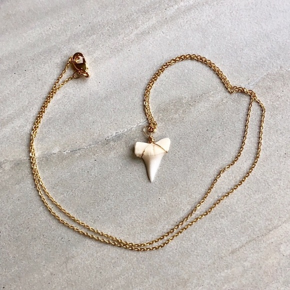 ❗️LAST❗️Dainty Shark Tooth Necklace - Picture 3 of 6
